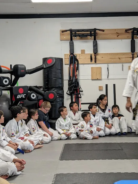 Sarez Martial Arts Picture 1