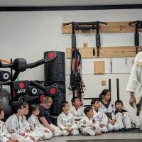 Sarez Martial Arts ico
