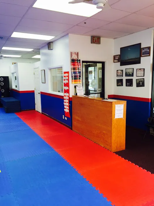 Sarez Martial Arts Picture 9