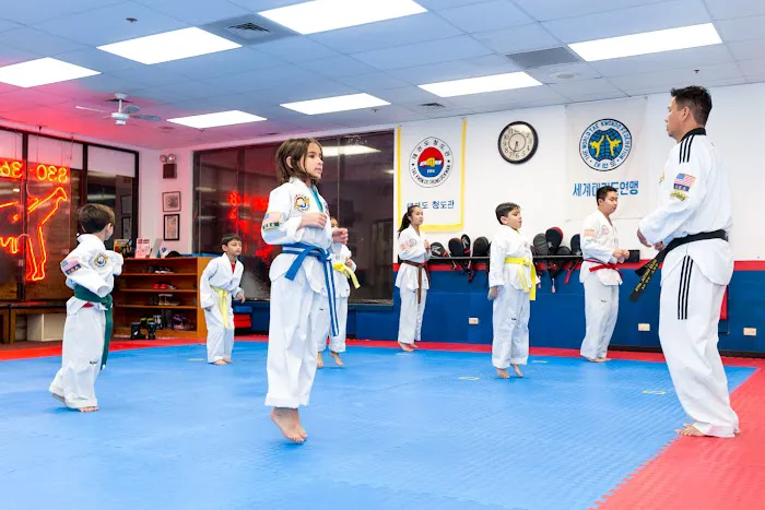 Sarez Martial Arts Picture 10