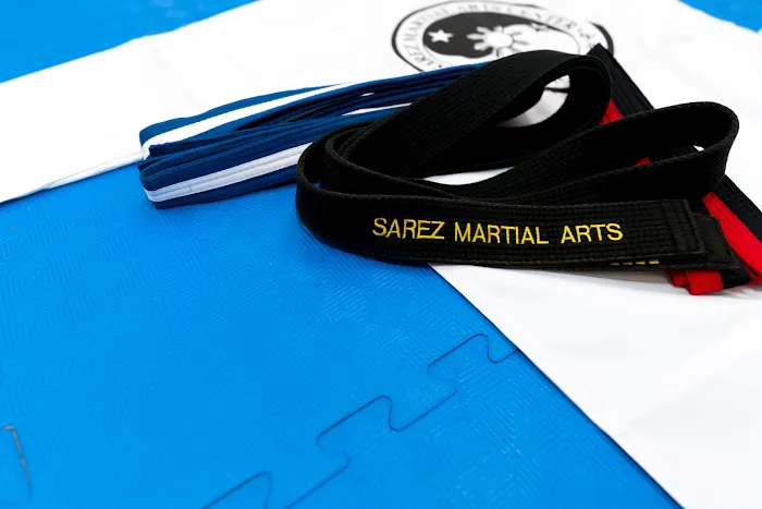 Sarez Martial Arts Picture 8