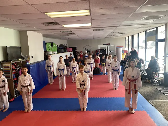 Silver Griffin Martial Arts Picture 2