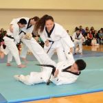 Chang Brothers Taekwondo Academy