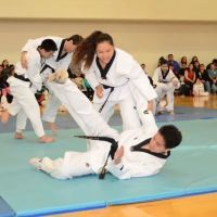 Chang Brothers Taekwondo Academy ico