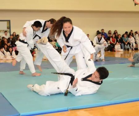 Chang Brothers Taekwondo Academy