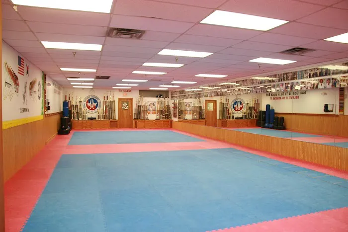 Chang Brothers Taekwondo Academy Picture 6
