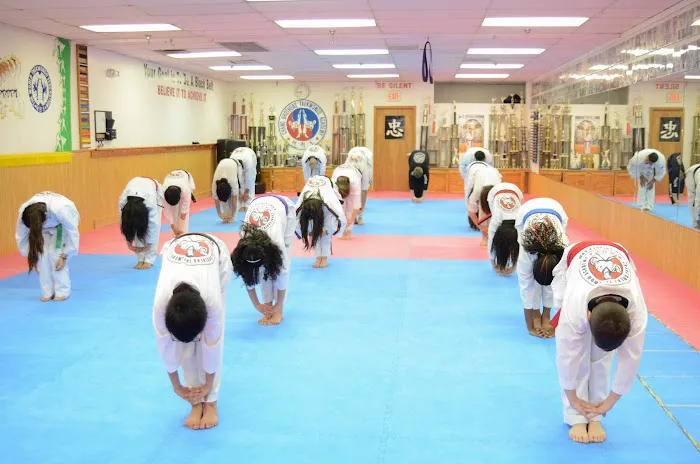 Chang Brothers Taekwondo Academy Picture 4