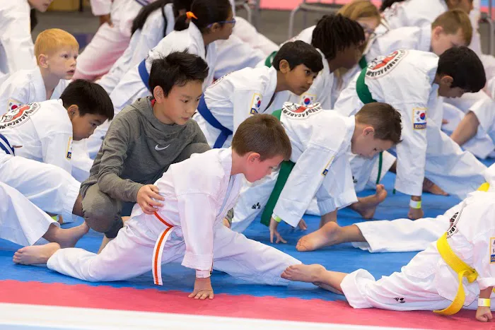 Chang Brothers Taekwondo Academy Picture 10