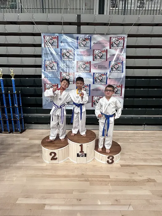 PowerKicks Taekwondo Academy Picture 4