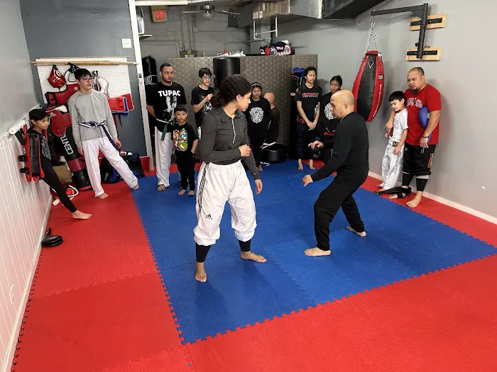 PowerKicks Taekwondo Academy Picture 5