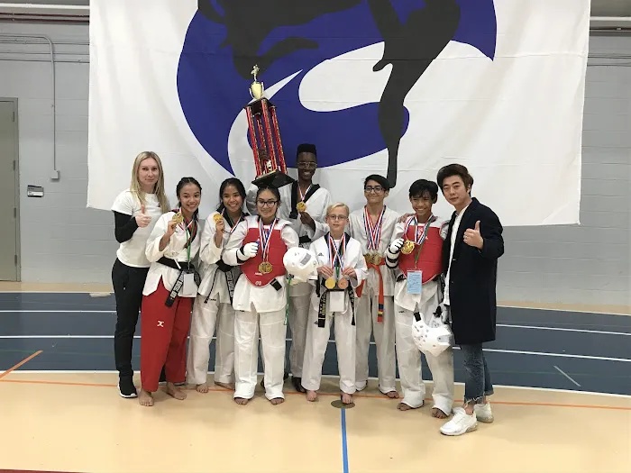 White Tiger Martial Arts Center, Lockport Picture 3