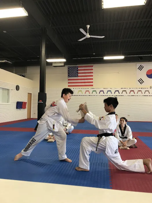 White Tiger Martial Arts Center, Lockport Picture 6