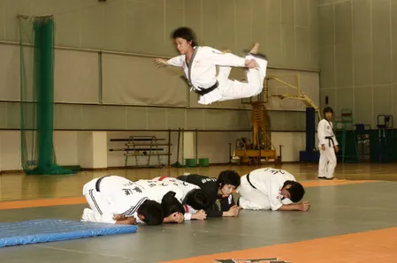 Yong-In Lions Martial Arts Picture 2