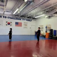 Yong-In Lions Martial Arts ico