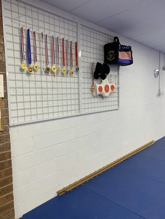 Yong-In Lions Martial Arts Picture 4