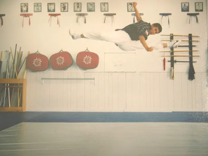 Yong-In Lions Martial Arts Picture 3