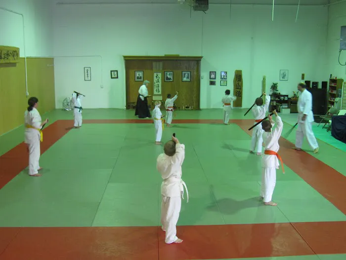 Martial Arts Training Service Picture 2