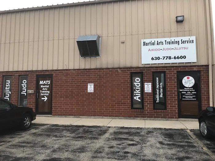 Martial Arts Training Service Picture 3