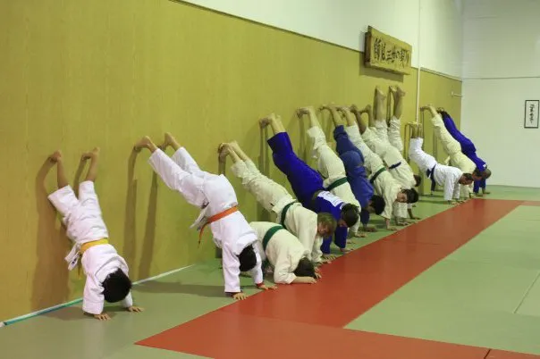 Martial Arts Training Service Picture 4