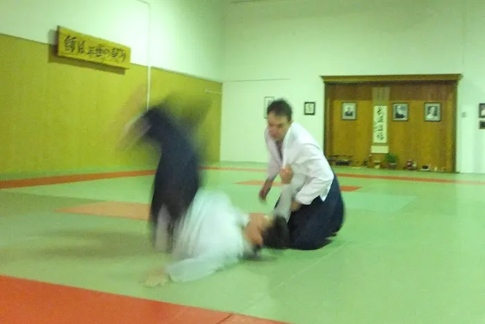 Martial Arts Training Service Picture 9