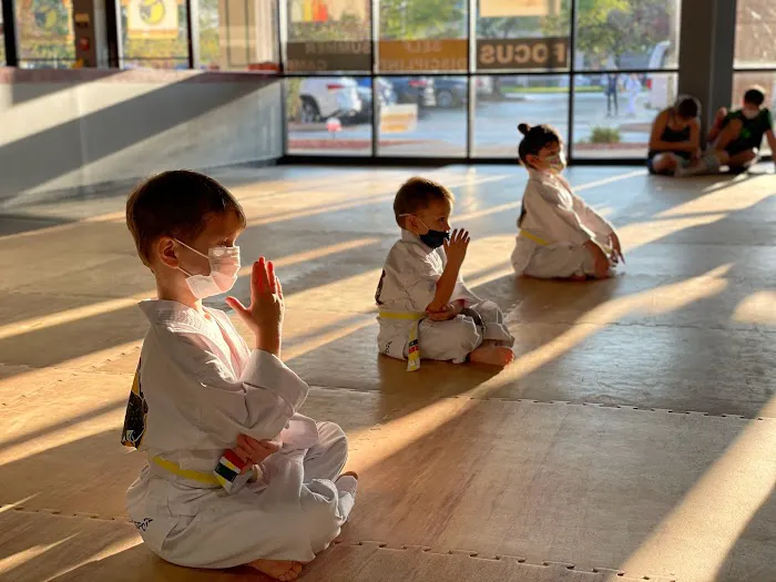 American Martial Arts Academy - Oswego Picture 10