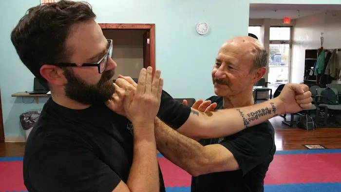 DuPage WingTsun Picture 3