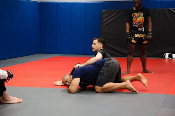3D MMA Brazilian Jiu Jitsu Picture 1