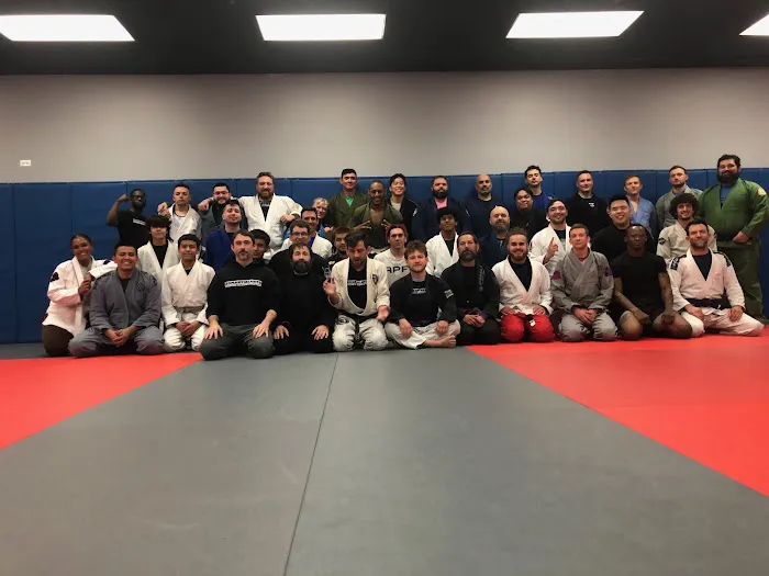 3D MMA Brazilian Jiu Jitsu Picture 5
