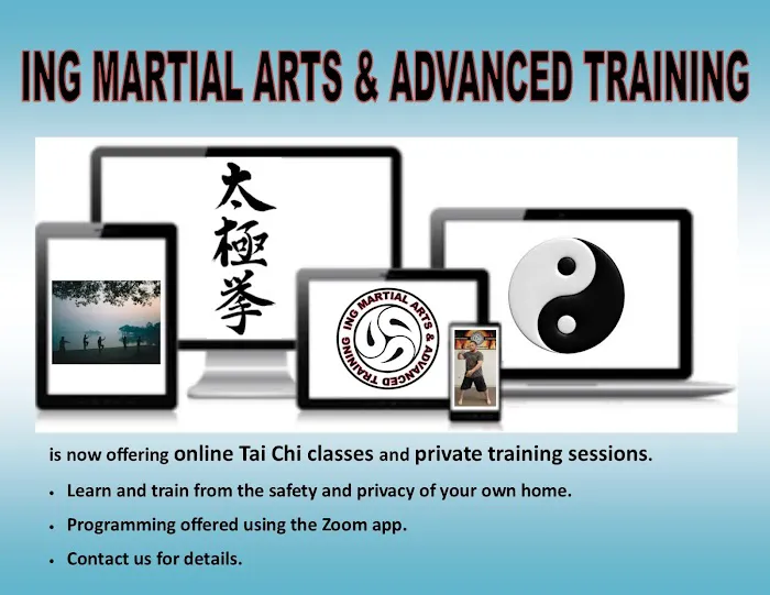 ING Martial Arts & Advanced Training Picture 1