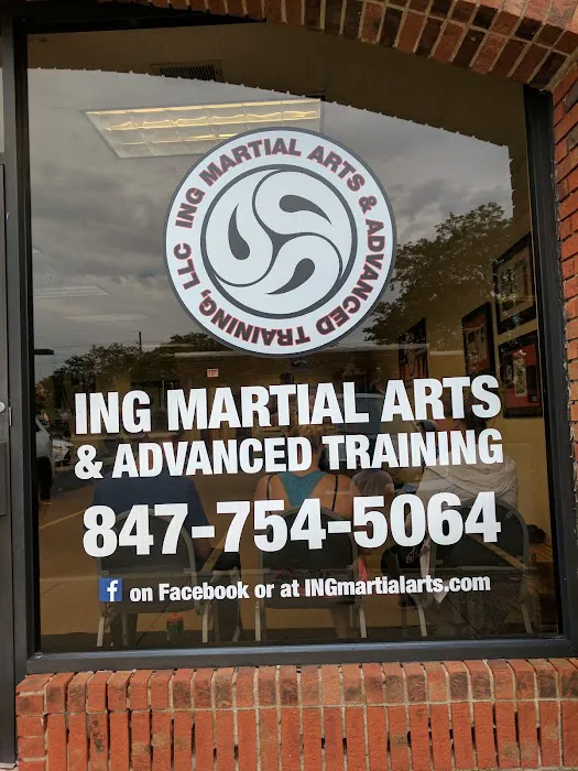 ING Martial Arts & Advanced Training Picture 3