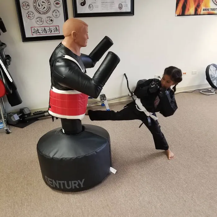 ING Martial Arts & Advanced Training Picture 5