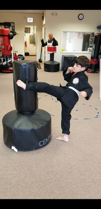 ING Martial Arts & Advanced Training Picture 6