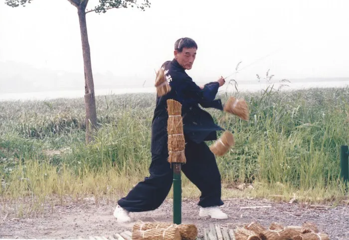 Jin Martial Arts Academy Picture 7