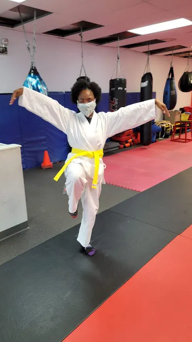 Tyson's Taekwondo Picture 4