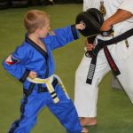 World Martial Arts Academy USA