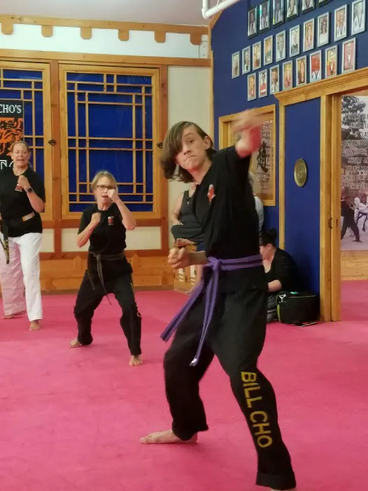 Bill Cho's United Taekwondo Center Picture 3