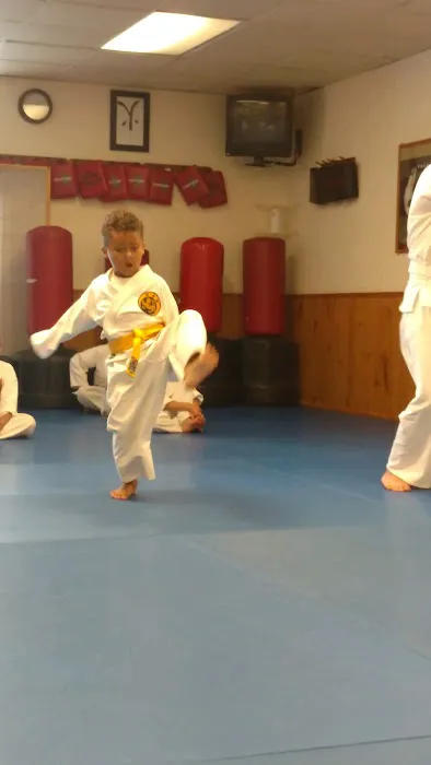 American Tiger Karate Academy Picture 5