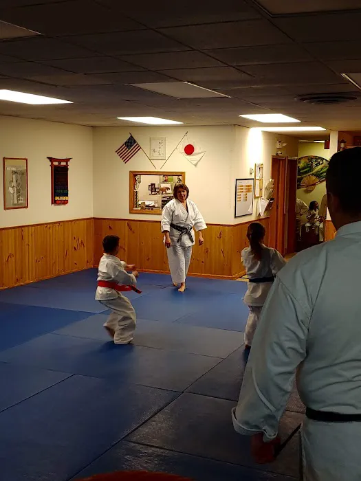 American Tiger Karate Academy Picture 8