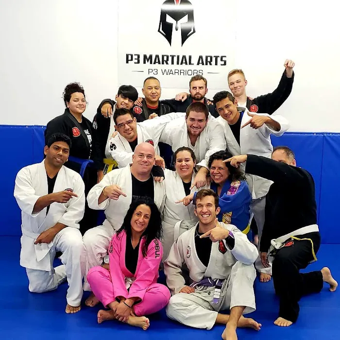 P3 Martial Arts Picture 3