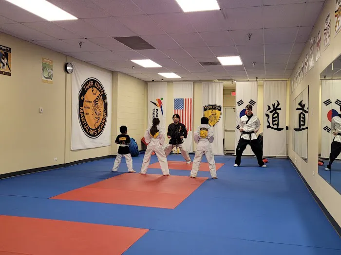Tiger Koo's Martial Arts Academy Picture 7