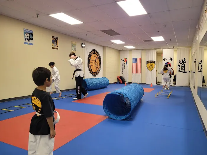 Tiger Koo's Martial Arts Academy Picture 3