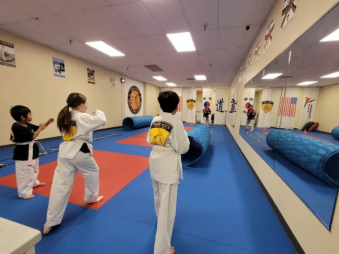 Tiger Koo's Martial Arts Academy Picture 5