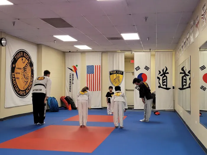 Tiger Koo's Martial Arts Academy Picture 6