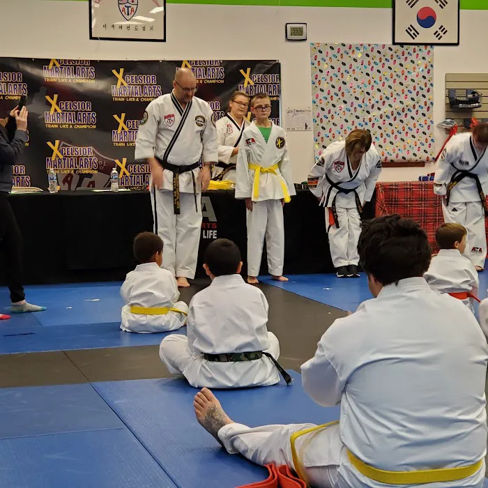 Xcelsior Martial Arts Picture 4
