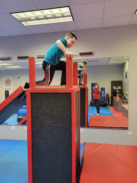 Tiger Martial Arts Integrated Systems Picture 1