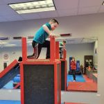 Tiger Martial Arts Integrated Systems