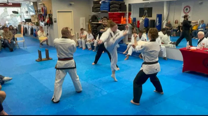 Tiger Martial Arts Integrated Systems Picture 8