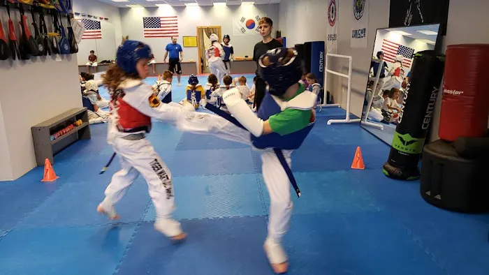 Tiger Martial Arts Integrated Systems Picture 2