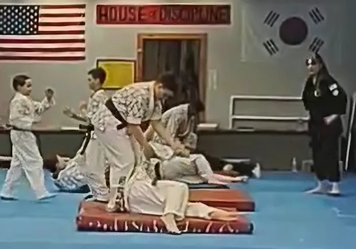 Tiger Martial Arts Integrated Systems Picture 10