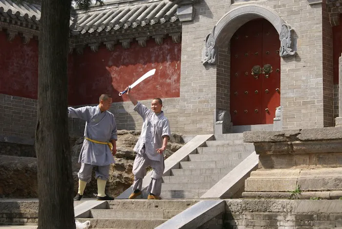 International Martial Arts & Cultural Center Picture 1